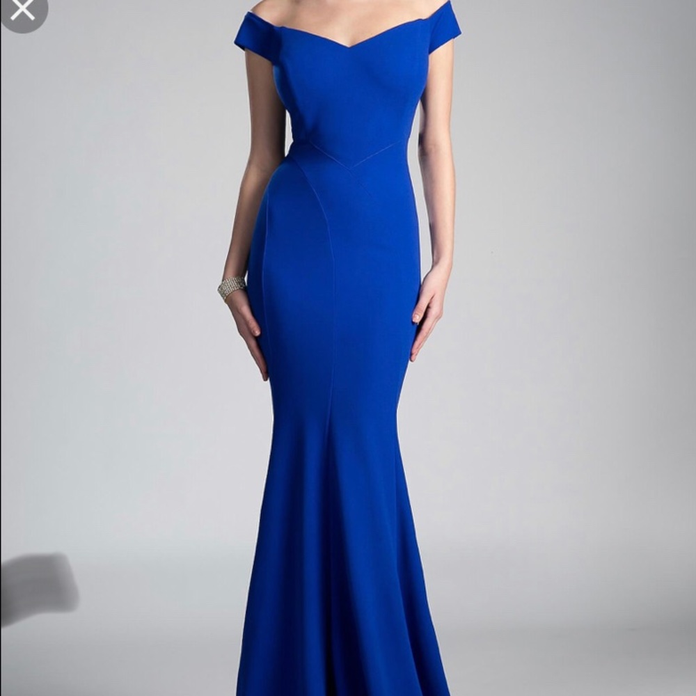 Mermaid Fit Prom Dress